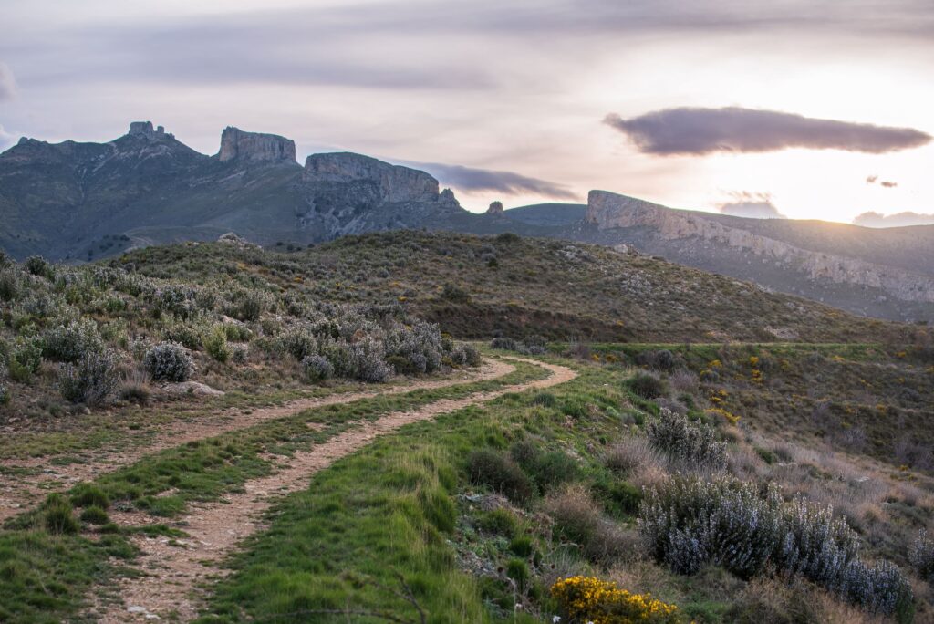 El círculo: "Camino de tierra serpenteante hacia la cara oculta del Moncayo al atardecer, ruta de bikepacking Guardián Solitario."
