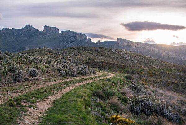El círculo: "Camino de tierra serpenteante hacia la cara oculta del Moncayo al atardecer, ruta de bikepacking Guardián Solitario."