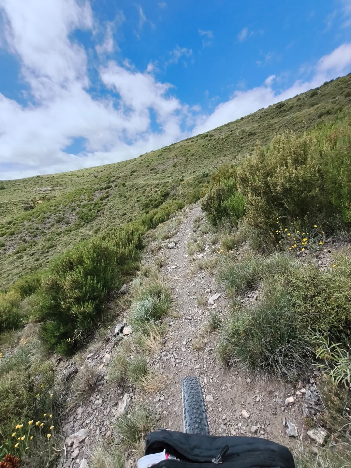 Senda estrecha de montaña hacia Talamantes vista desde la bicicleta