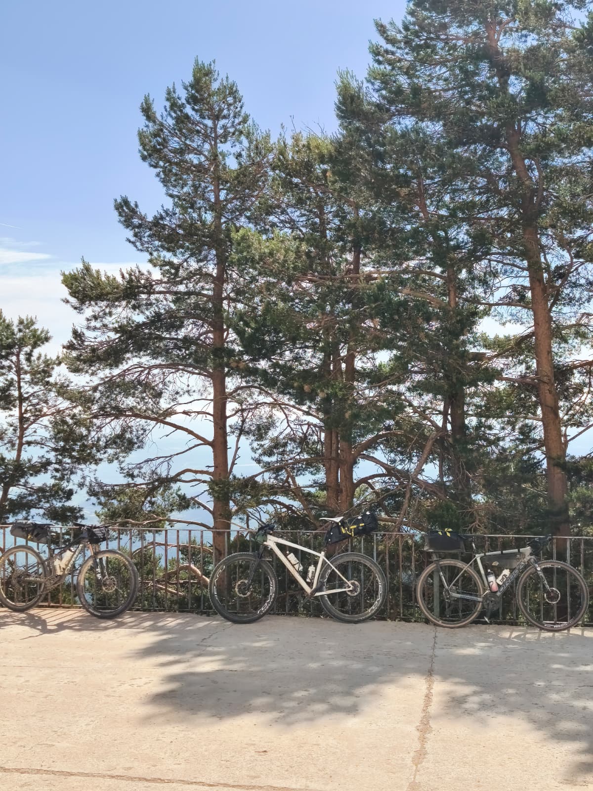 Tres bicicletas de bikepacking en la barandilla del Santuario del Moncayo entre pinos