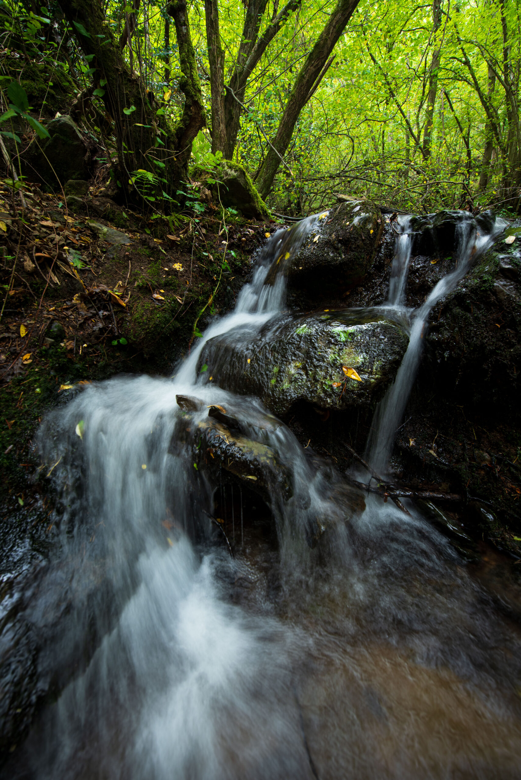 Salto de agua entre rocas y vegetación en un barranco del Moncayo